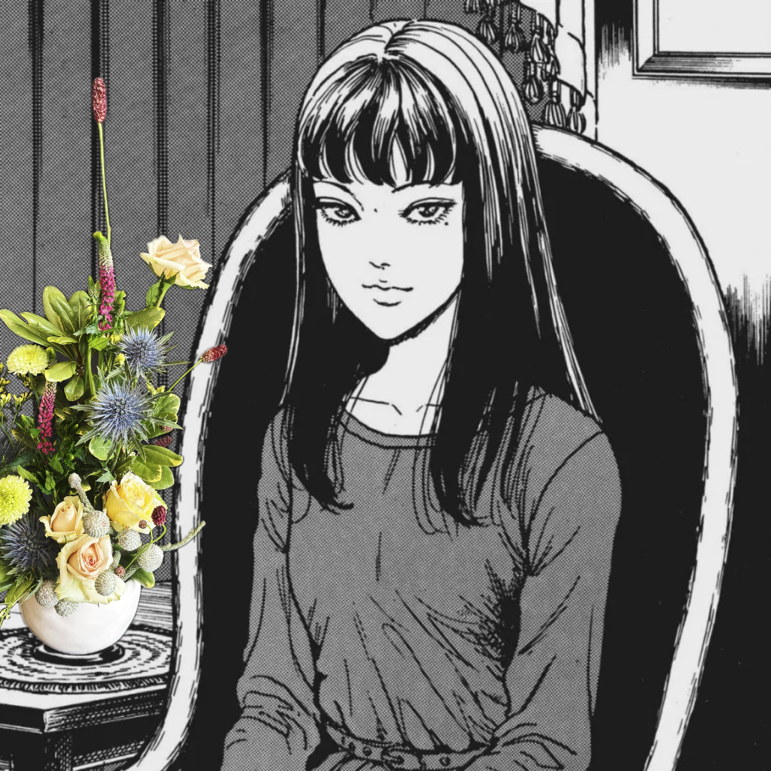 ππ πππ ππππππ₯πππ ββΉββ΄β‘